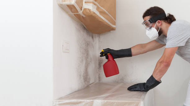 Professional Bathroom Mold Removal technician working in Marshall, VA