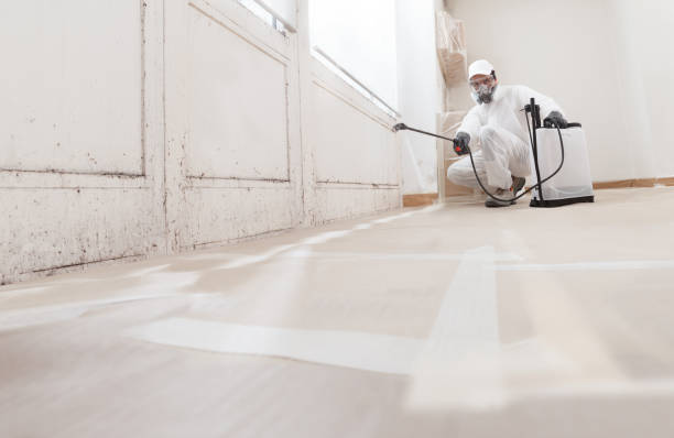 24/7 Emergency Bathroom Mold Removal experts in Marshall, VA